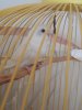 20190704_182723.jpg