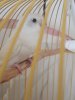 20190704_182718.jpg