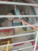 20190707_090802.jpg