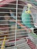 20190707_090942.jpg