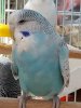 IMG_20190707_133801.jpg