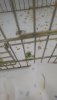 20190711_094816.jpg