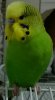 IMG_20190511_085352.jpg