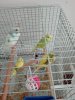 IMG_20190630_154835.jpg