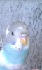 Screenshot_2019-07-21-14-29-10.png