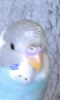 Screenshot_2019-07-21-14-29-29.png