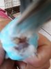 IMG-20190722-WA0003.jpg