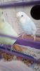 Screenshot_2019-07-24-10-25-05.png