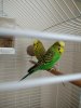 IMG_20180519_122004.jpg