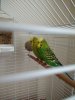 IMG_20180519_121946.jpg