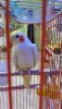 download_20190803_182320.jpg