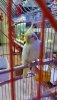 download_20190803_182317.jpg