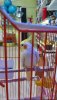 download_20190803_182316.jpg