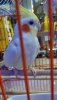 download_20190803_211611.jpg