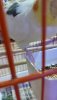 download_20190803_211614.jpg