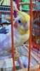 download_20190803_212005.jpg
