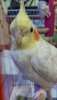 download_20190803_212047.jpg