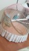 20190805_001336.jpg