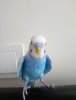 DSC_0066.jpg