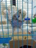 IMG-20190807-WA0004.jpg