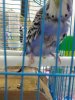 IMG-20190807-WA0001.jpg