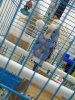 IMG-20190807-WA0003.jpg