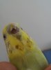 20190812_170004-1.jpg