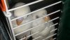 IMG-20190815-WA0002.jpg
