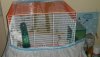 IMG-20190815-WA0001.jpg