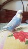 20190816_101731.jpg