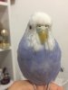 66E649FC-4DF9-46E7-AFC1-F7C6883674AB.jpeg