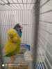 IMG-20190807-WA0002.jpg