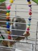 IMG_20190823_233500.jpg