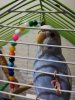 IMG_20190824_233603.jpg