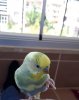 20190831_140825.jpg