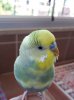 20190831_141139.jpg