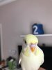 IMG-20190830-WA0023.jpg