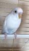 7A6ECD2D-EAAA-4E90-876E-3AC04E4C12CA.png