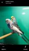 Screenshot_20190903-164239_WhatsApp.jpg