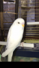 57D19310-EE8D-44F2-84BD-40397C823B1D.png