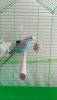 IMG-20190427-WA0003.jpeg