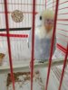 IMG_20190913_142613.jpg