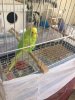 IMG-20190921-WA0007.jpg