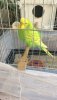 IMG-20190921-WA0011.jpg