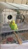 IMG-20190921-WA0010.jpg