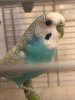 IMG-20190910-WA0018.jpg