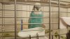 IMG-20190910-WA0021.jpg