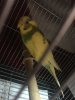 7D341FEE-BAB7-4829-A7B0-D8DCD41530B2.jpeg