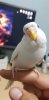20190921_223901.jpg