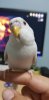 20190921_223857.jpg